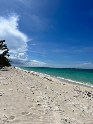 En strand med klare himmel og turkis vand.