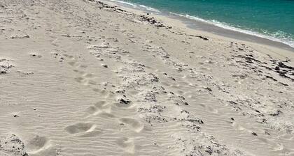 Sagusta Gardens NCA 1