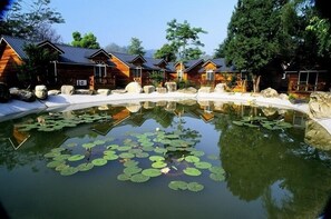 การตกแต่งภายนอก