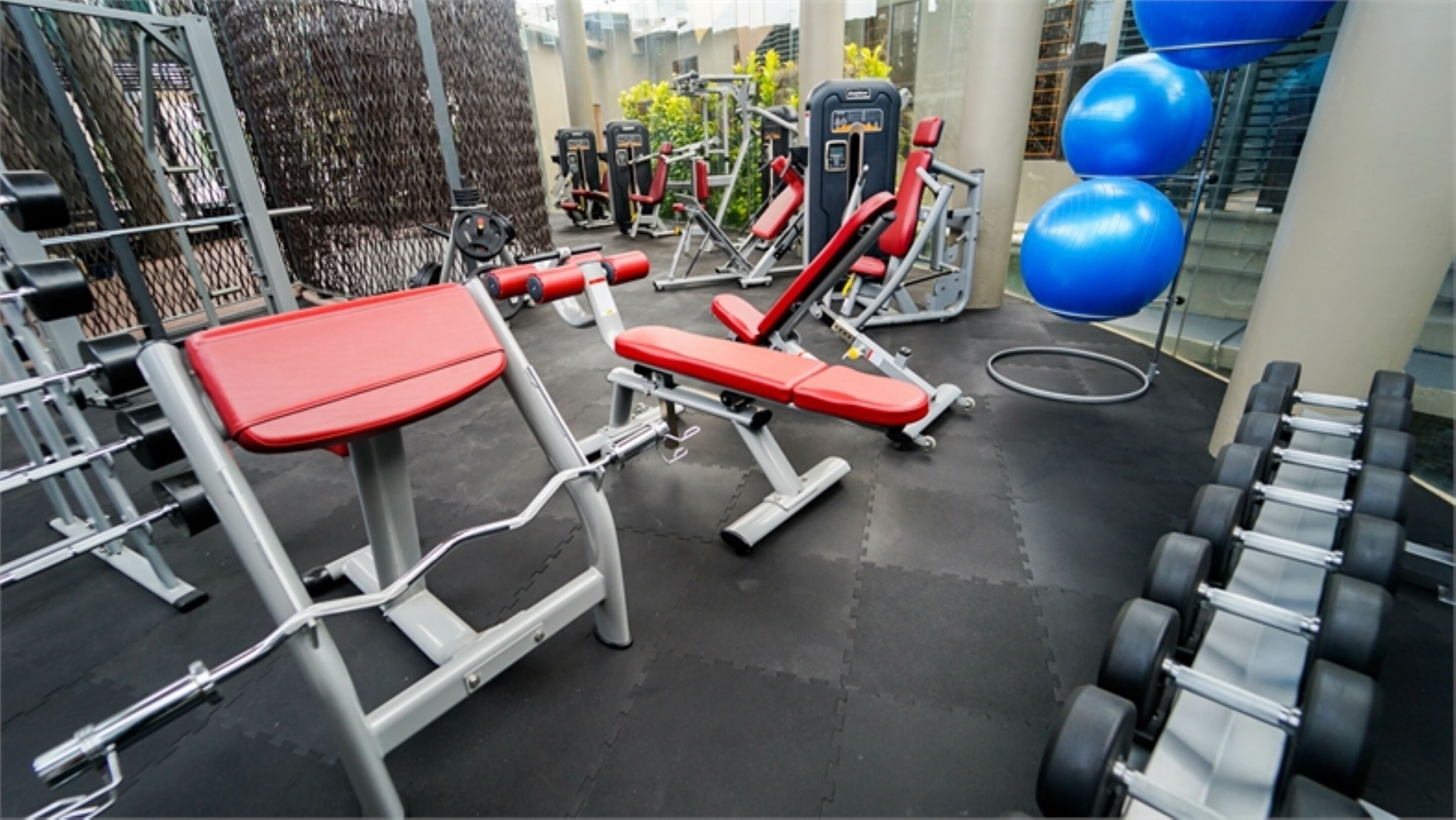 Un gimnasio con diversos equipos de ejercicio, incluyendo bancos y pesas.