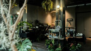 Un jardín interior moderno con plantas en macetas, una cafetera y una planta colgante.
