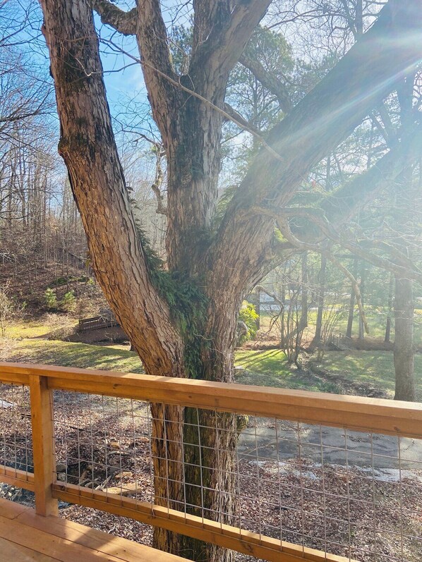 Una terraza de madera con barandilla metálica que da a un paisaje natural con árboles y una masa de agua.
