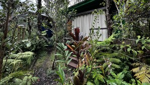 A lush garden with dense foliage, a wooden structure, and a pathway leading to a building with a green roof. - Off-Grid Bungalow with Volcano Alerts & Rescue Dogs (Eden Roc)