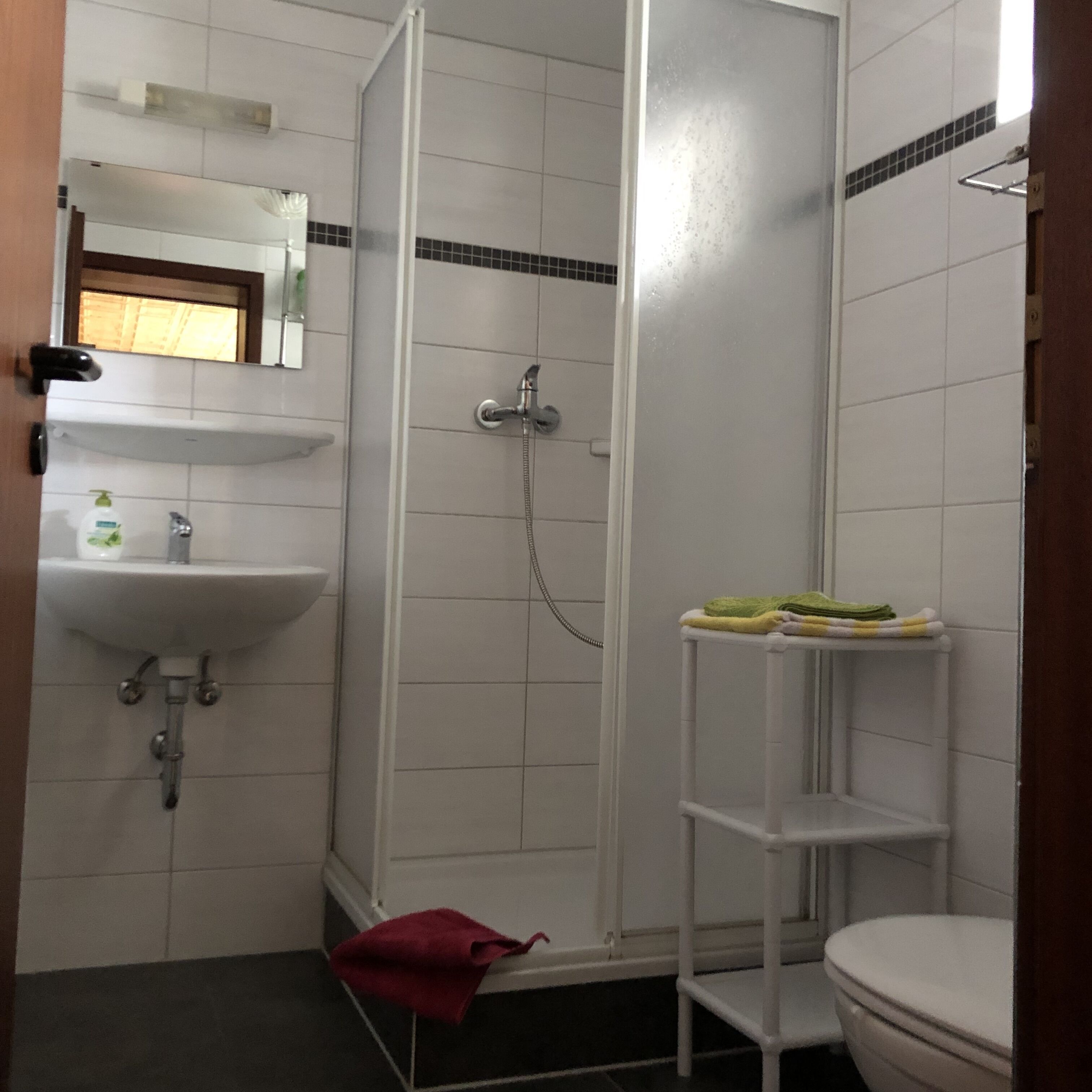 Dusche, Haartrockner, Handtücher, Toilettenpapier