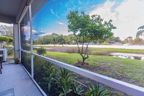 Property grounds - Family friendly Private Home on a small lake (Sarasota)