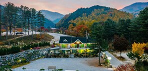 Exterior - Dorothy's Forest Pension (Gapyeong)