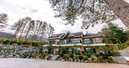 Dorothy's Forest Pension