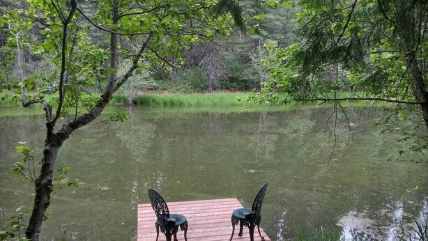 Une jetée en bois avec deux chaises qui s’avancent sur une étendue d’eau calme, le tout entouré d’une végétation luxuriante.