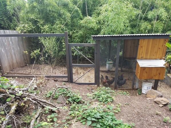 A fenced outdoor area with a wooden coop and a wire mesh enclosure. - SW Eugene Hills Retreat (Eugene)