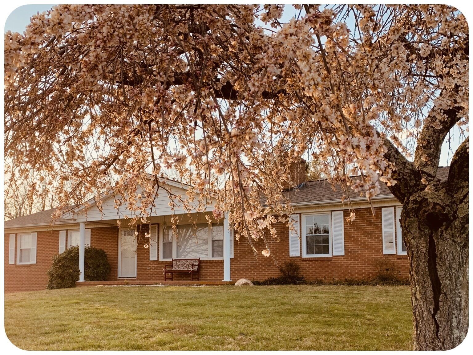 Family friendly Farm, Mnt sunsets, private, central to BR Parkway & much more!!