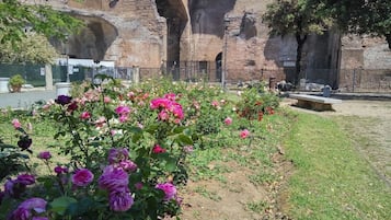 Parco della struttura