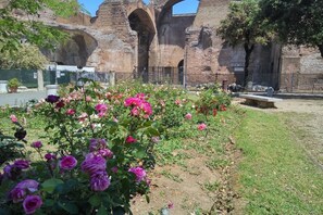 Parco della struttura