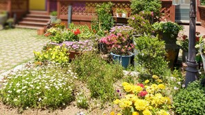 Garden - Suncheonbay Happy Day Pension (Suncheon)