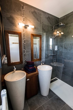 Elite Double Room | Bathroom | Hair dryer, towels