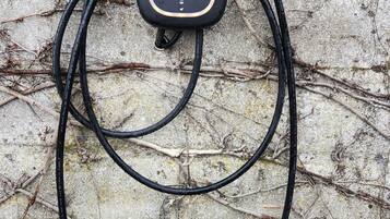 Dispositivo eléctrico negro con enchufe, conectado a un cable negro enrollado, sobre una pared de concreto texturizado con hiedra.