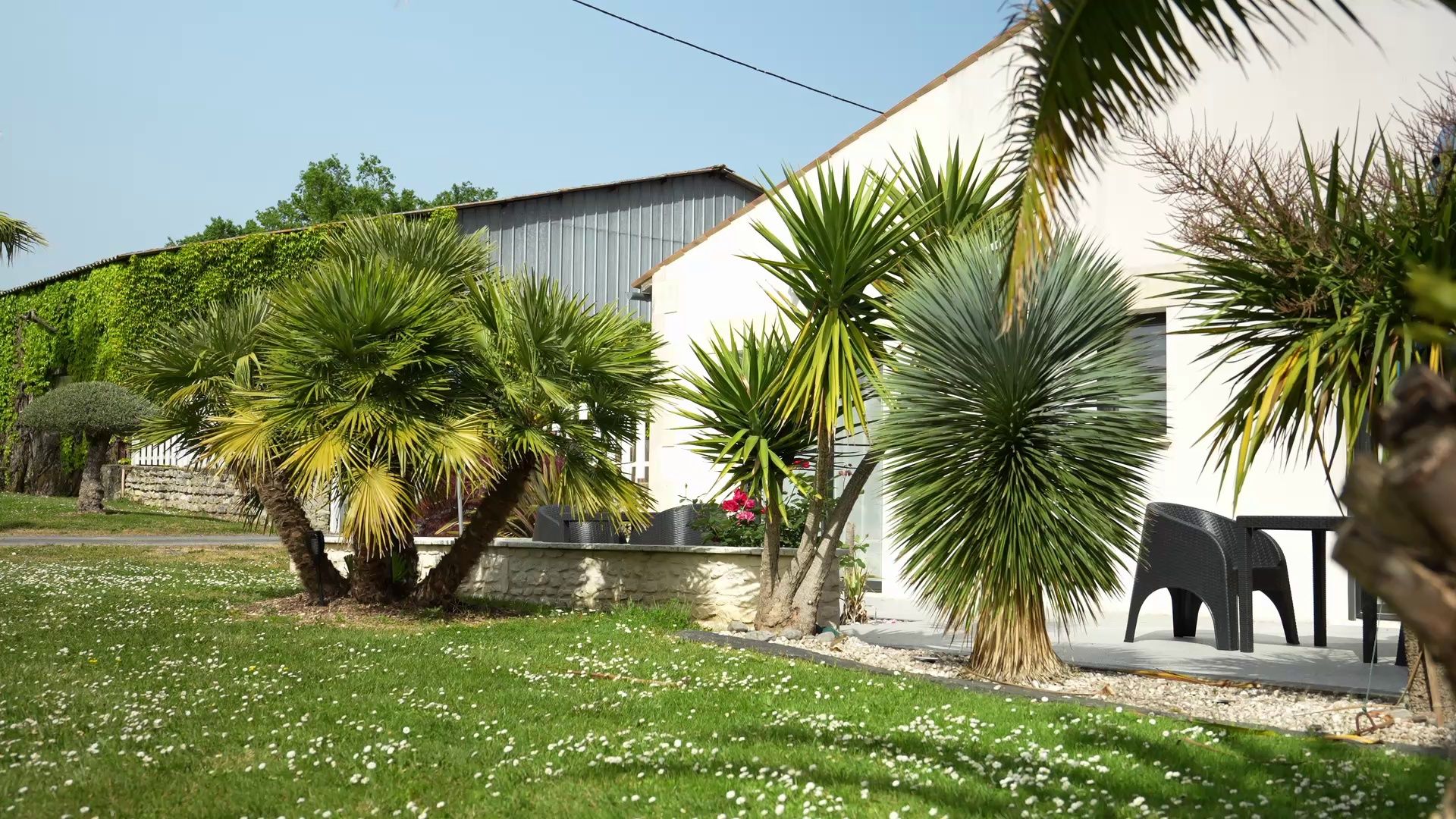 Terraza o patio