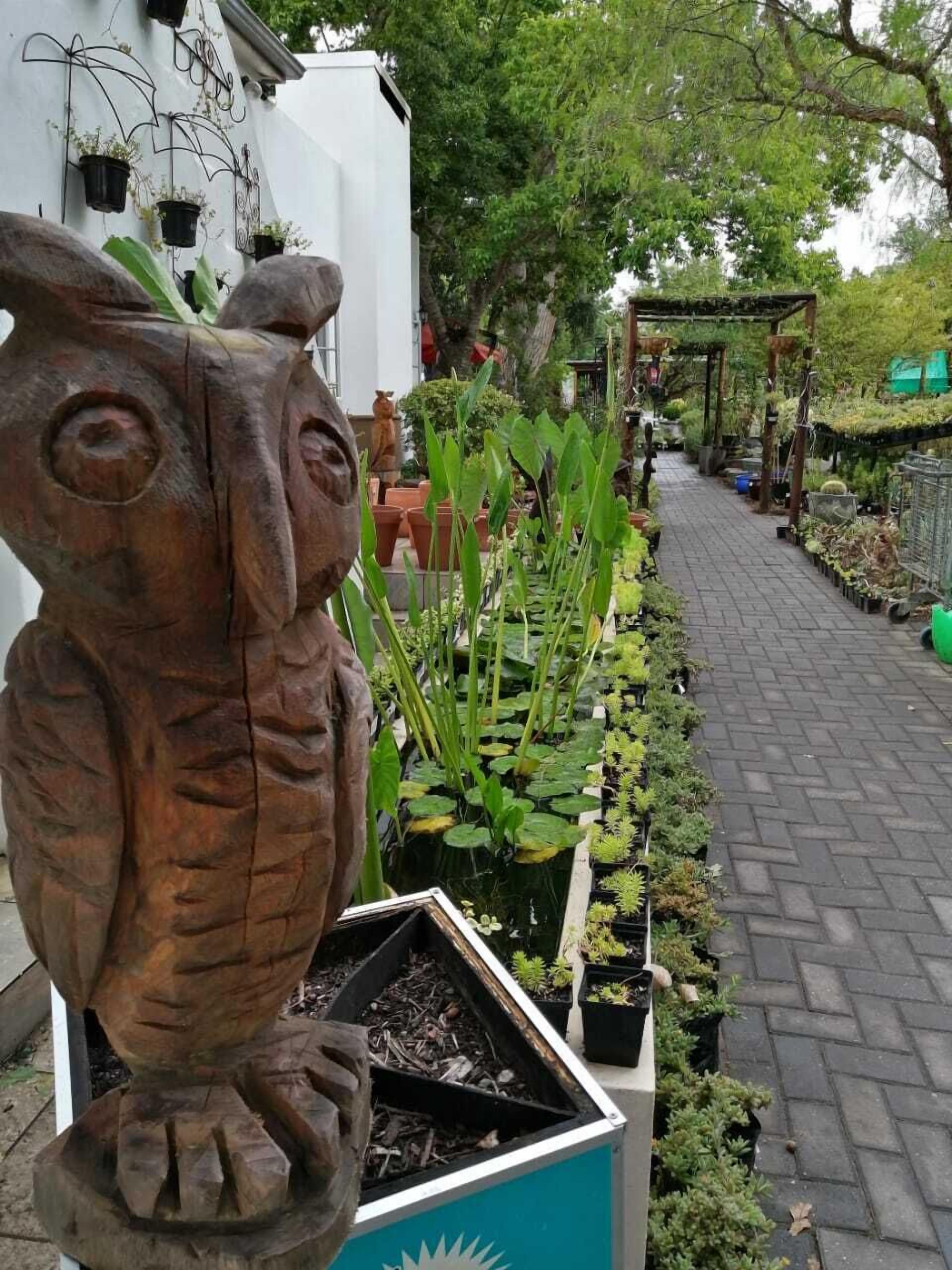 A garden center with a large owl sculpture, various potted plants, and a pathway.