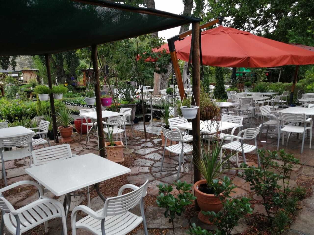 An outdoor patio with white metal tables and chairs, surrounded by potted plants and a stone pathway.