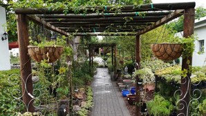 Un sentier de jardin agrémenté de jardinières suspendues et d’une structure en forme de pergola.
