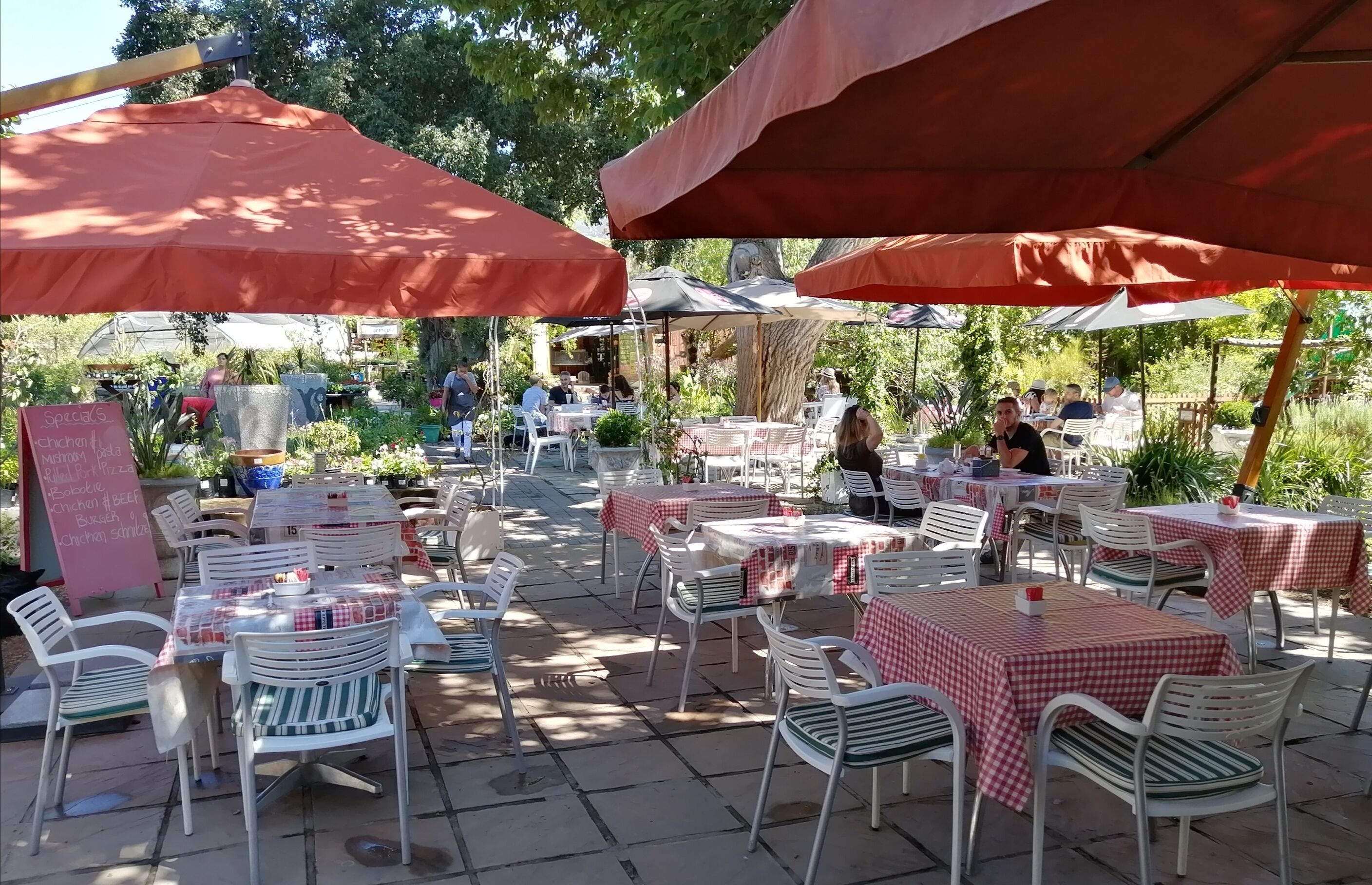 Breakfast and lunch served, local and international cuisine