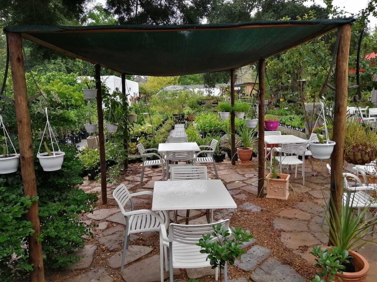 An outdoor patio area with white tables and chairs, surrounded by potted plants and a green canopy.