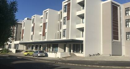 Homely, cosy apartment