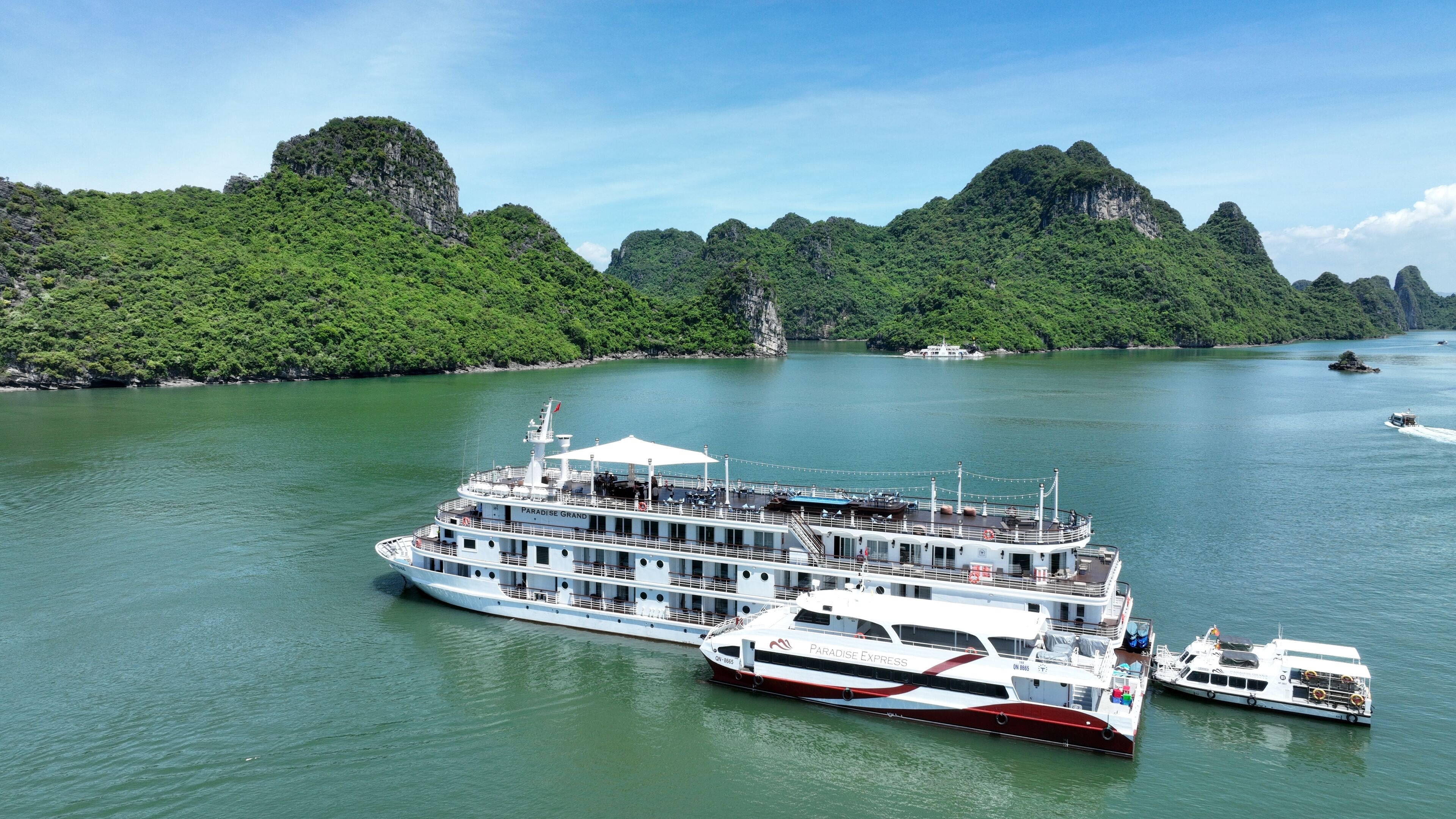 Een groot cruiseschip ligt aangemeerd in een haven, met weelderige groene heuvels op de achtergrond.
