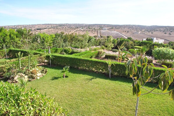 Un jardín ajardinado con diversas plantas y un seto bien recortado.