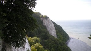 A coastal cliff with dense greenery and a beach at the base.