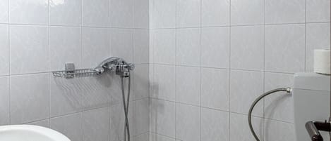 Une salle de bain avec douche, toilettes et lavabo.