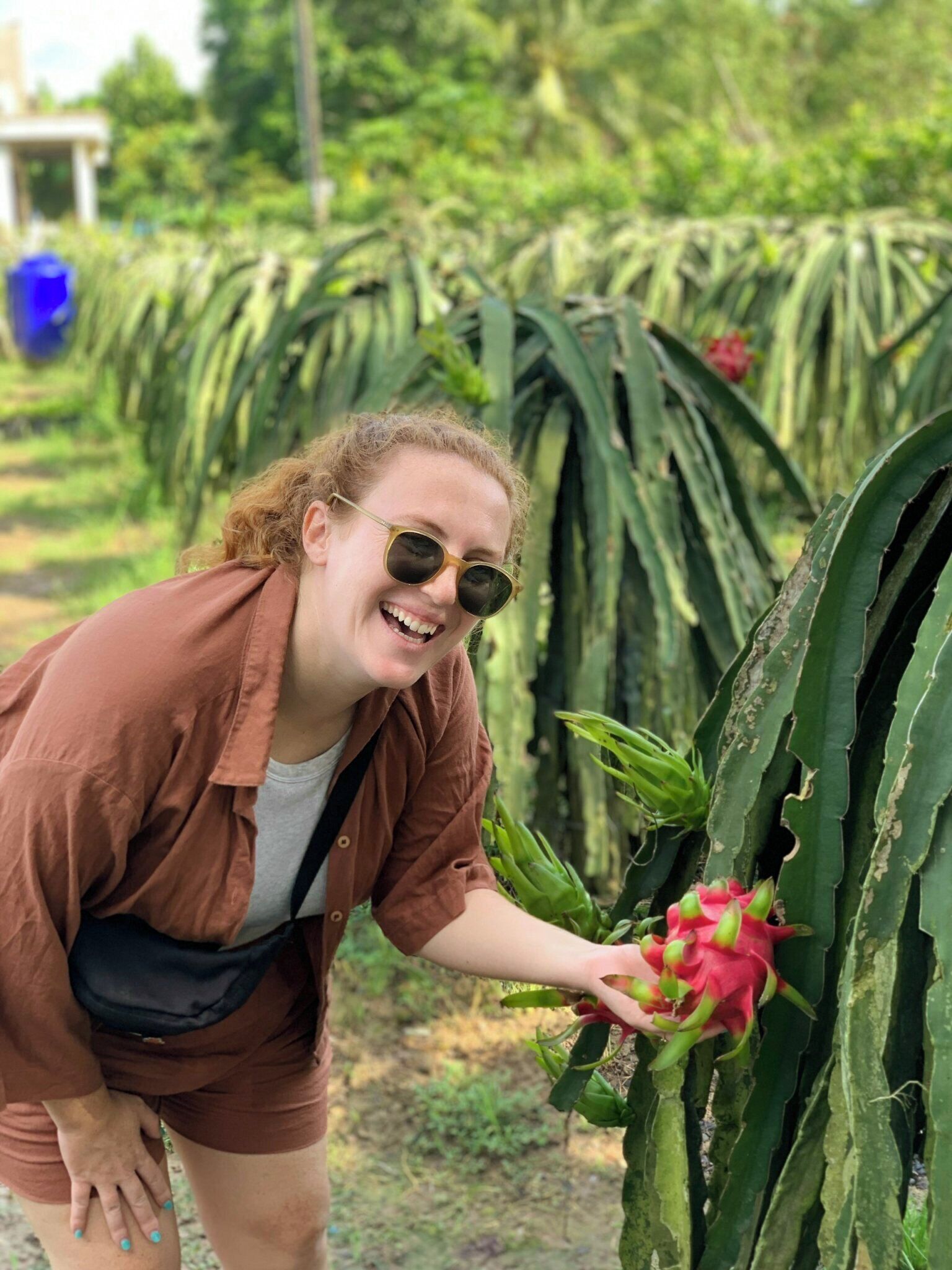 Una persona con camisa y pantalones cortos sostiene un cactus pitaya.