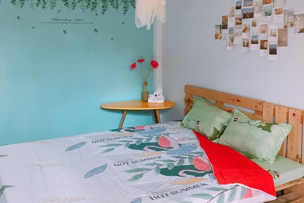 A bedroom with a bed, a nightstand, a wall with photos, and a hanging mosquito net.