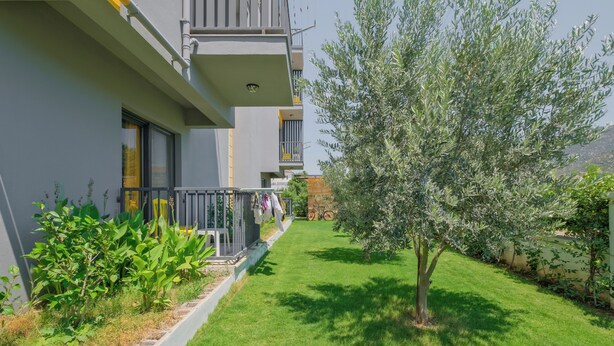 A modern apartment building with a well-maintained lawn and a tree. - F48 Homes (Fethiye)