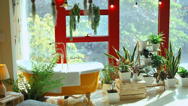 Studio Romantique | Salle de bain | Articles de toilette gratuits, sèche-cheveux, chaussons