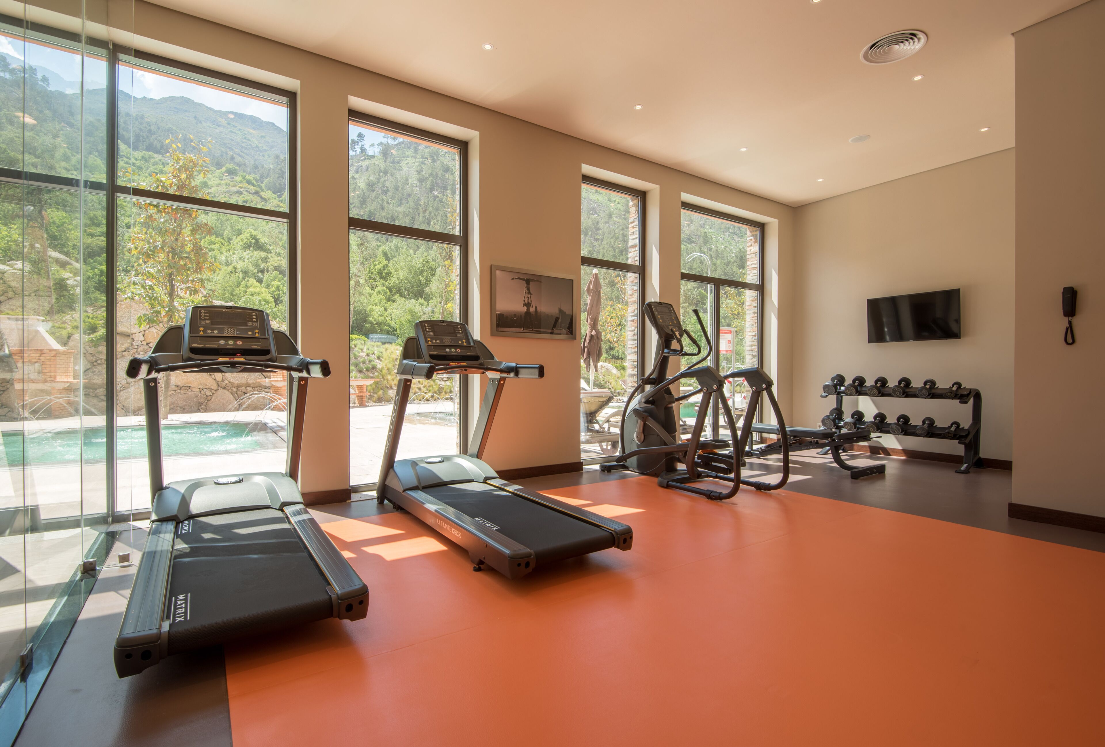 A gym with treadmills, a stationary bike, and dumbbells.
