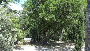 Un parc avec un banc, des arbres et un mur en pierre.
