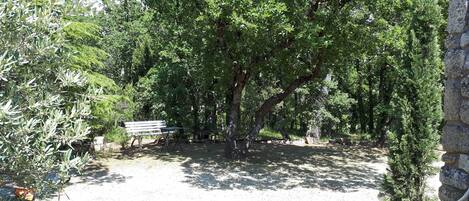 Terrein van de accommodatie