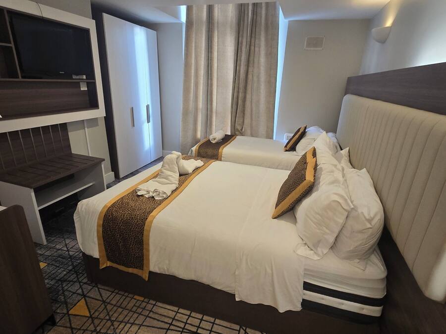 Habitación de hotel con dos camas, televisión, escritorio y alfombra estampada.