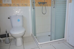 Shower, hair dryer, soap, toilet paper