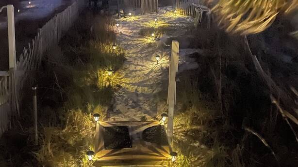 Un sendero bordeado de palmeras y cercas de madera que lleva a la playa.