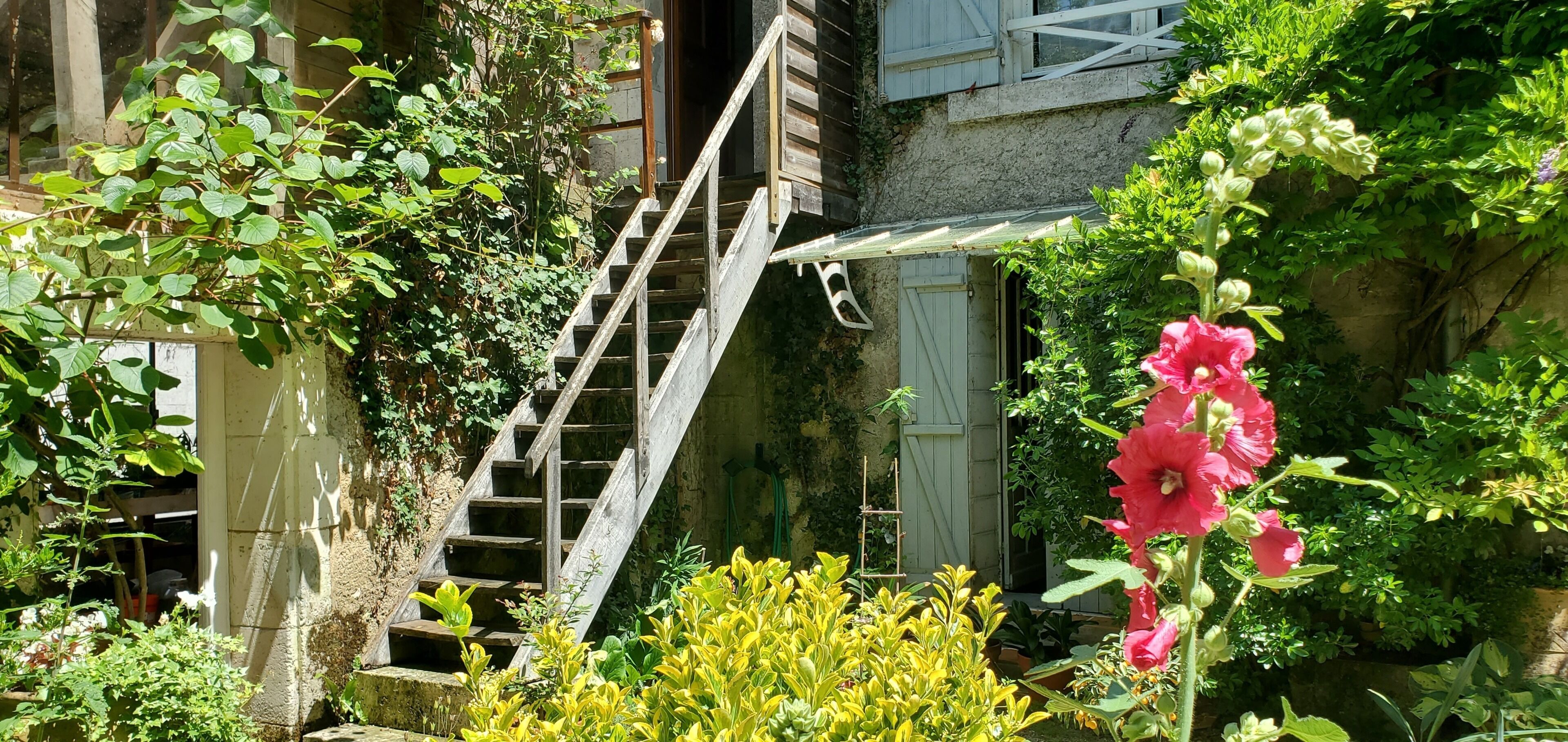 Un escalier en bois rustique menant à une porte, le tout entouré d’une végétation luxuriante et agrémenté d’une grande fleur rose.