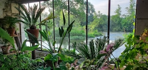Enjoy a serene view of lush greenery and a tranquil atmosphere with a body of water in the distance.