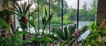 Gîtes in einer Mühle an der Dronne - La Maillerie