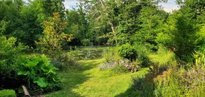 Stroll through the lush garden, surrounded by vibrant greenery and a serene pond with lily pads.