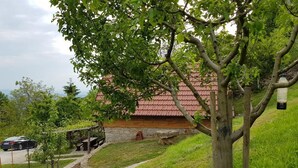 A house with a red roof, surrounded by a grassy area and trees. - Relaxing Cottage Donacka Gora (Rogatec)