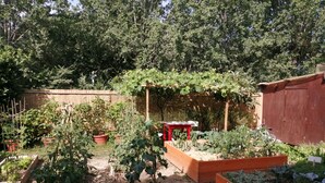 Een tuin met verhoogde borders, een houten omheining en een rode tafel.