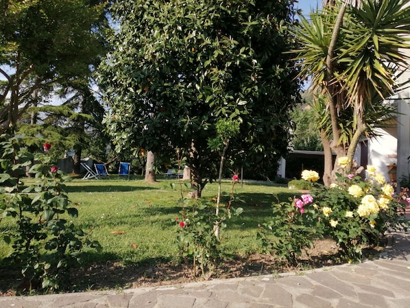 A garden with various plants and flowers, a lawn, and a stone pathway.