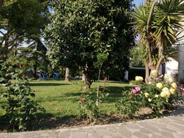 Un jardín con diversas plantas y flores, césped y un camino de piedra.