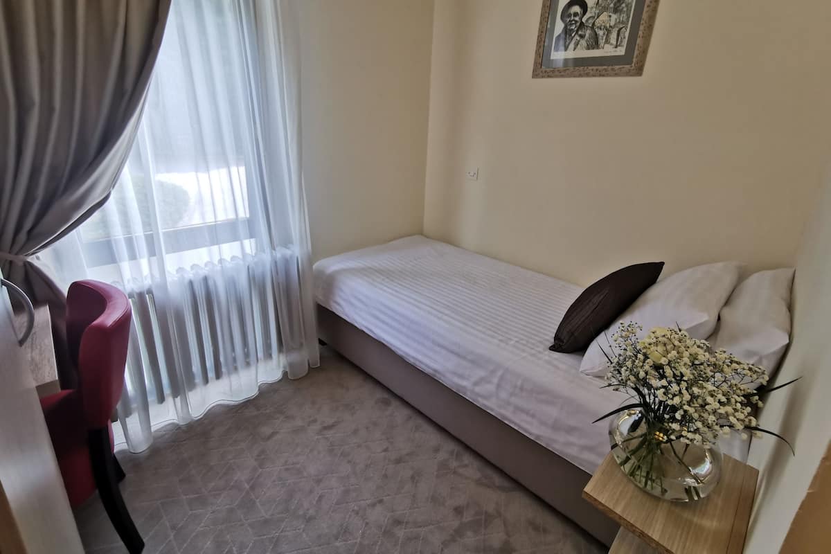 Standard Single Room, Park Side | Wi-fi percuma, cadar katil