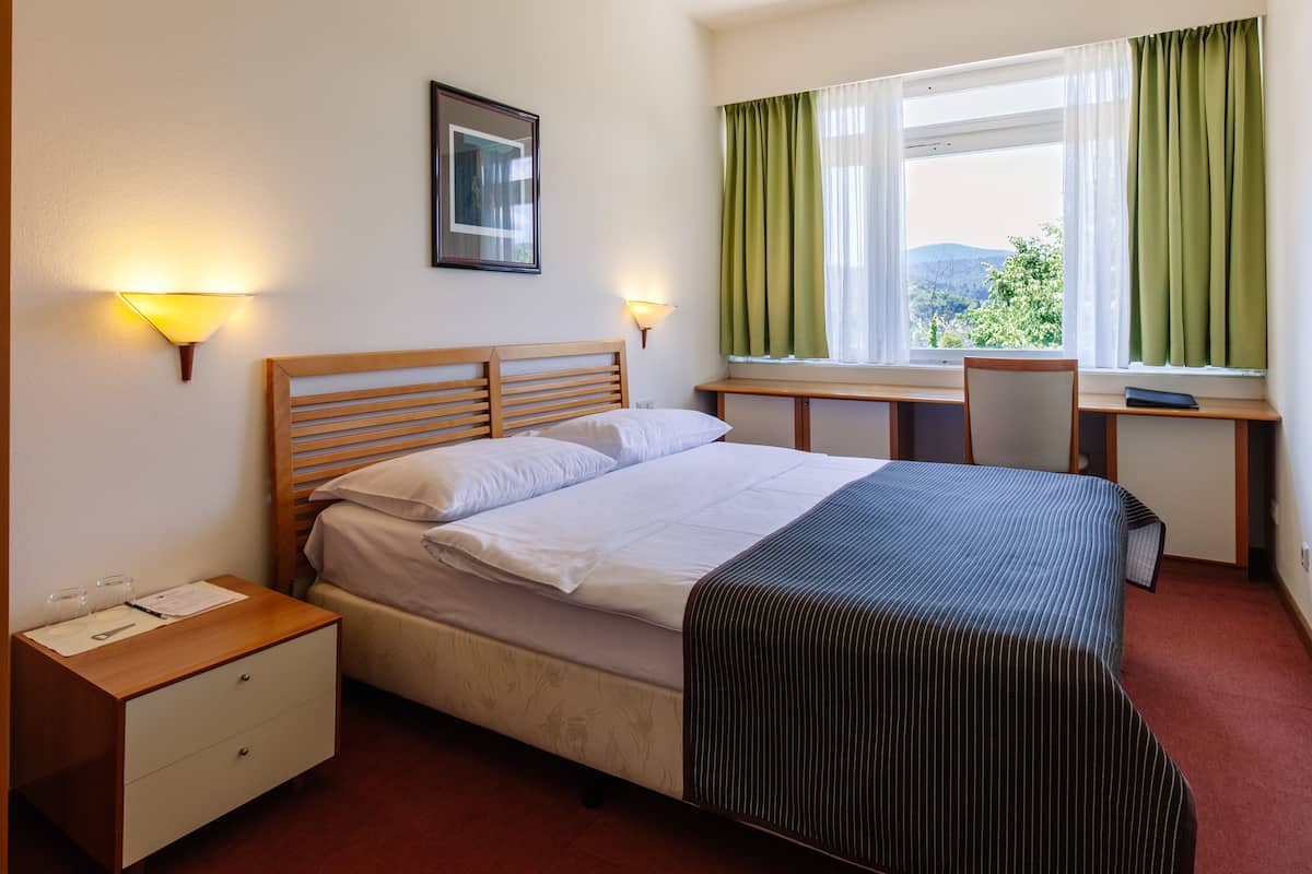 Standard Double Room, Park Side | WiFi (free)